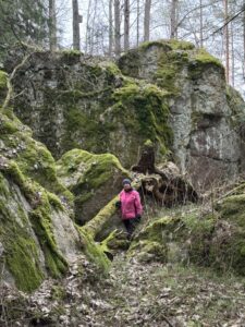 Musankiven takanakin on kivenjärkäleitä
